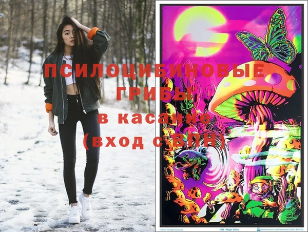дживик Корсаков