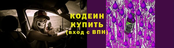 дживик Корсаков