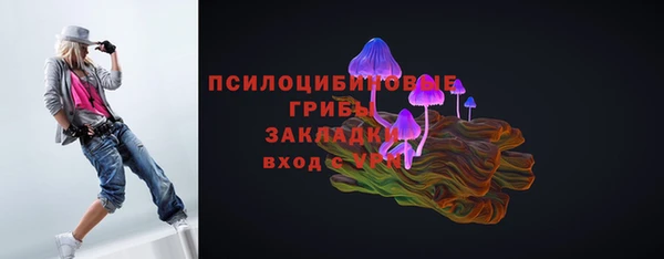 первитин Коряжма