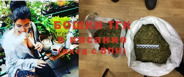 молекула духа Костерёво