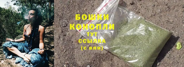 первитин Коряжма