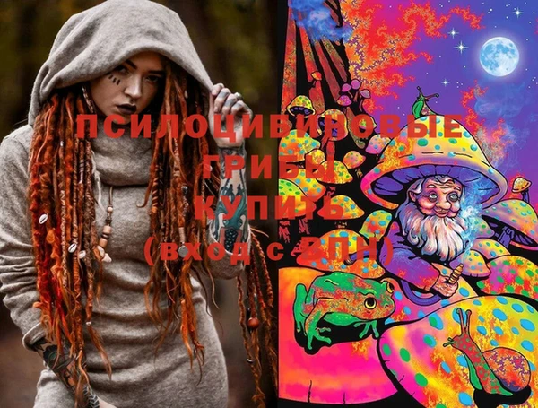 молекула духа Костерёво
