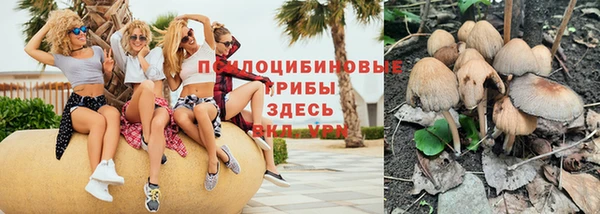 дживик Корсаков