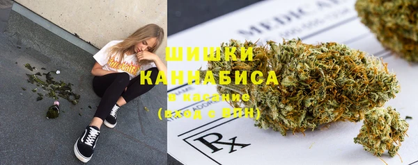 молекула духа Костерёво