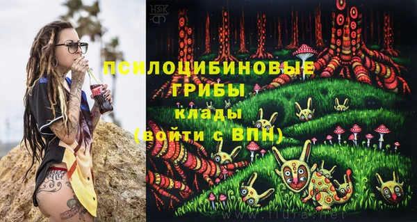 первитин Коряжма