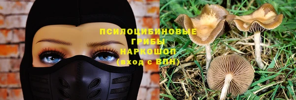 молекула духа Костерёво
