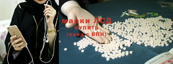 дживик Корсаков